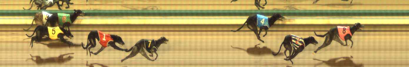 Photo finish for The Meadows Race 5