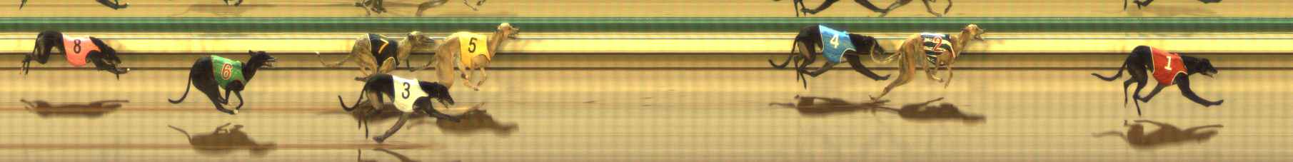 Photo finish for The Meadows Race 6