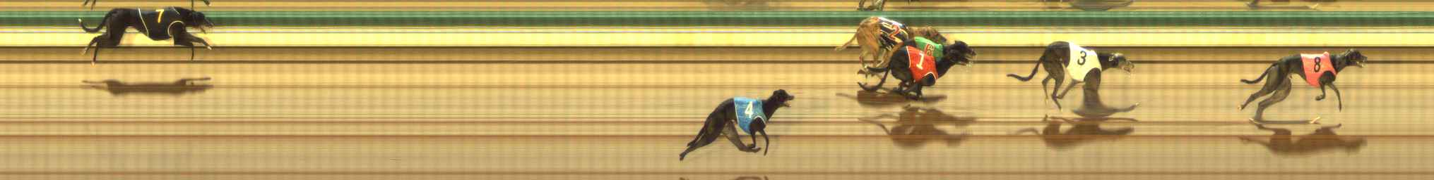 Photo finish for The Meadows Race 7