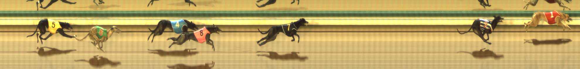 Photo finish for The Meadows Race 8