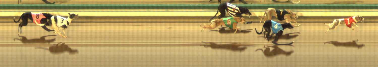 Photo finish for The Meadows Race 9