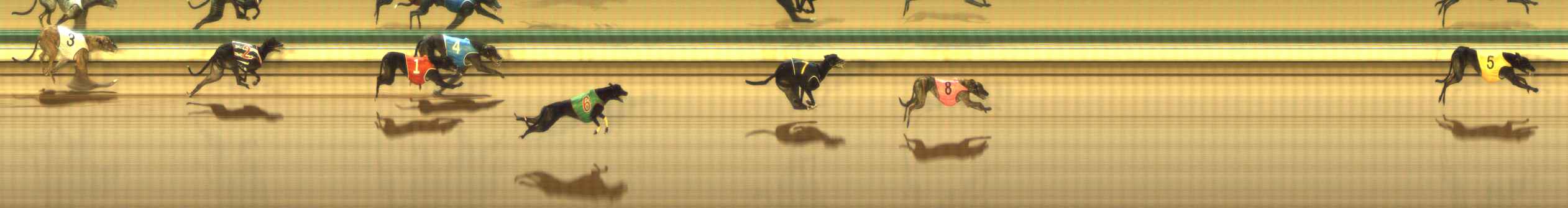 Photo finish for The Meadows Race 10