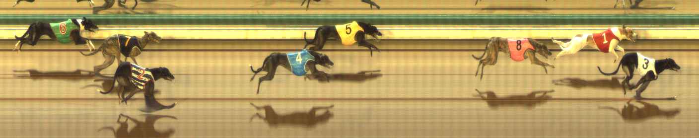 Photo finish for The Meadows Race 11