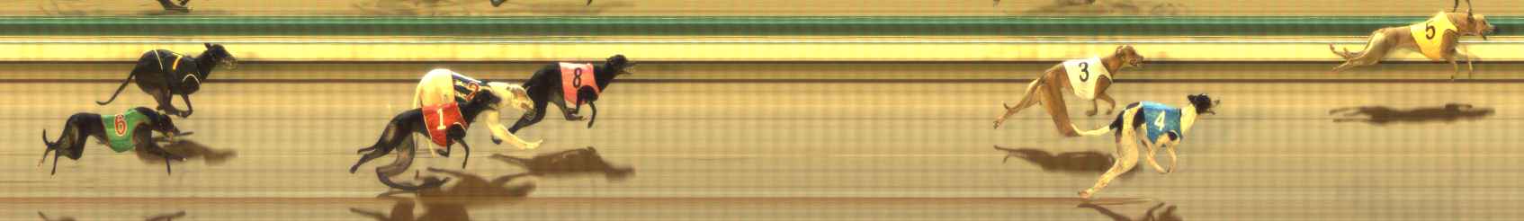 Photo finish for The Meadows Race 12