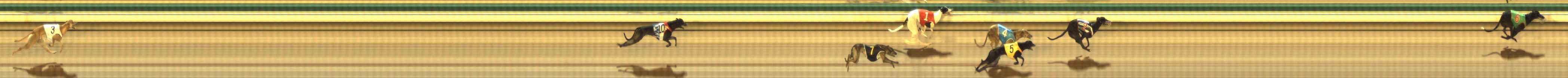 Photo finish for The Meadows Race 1