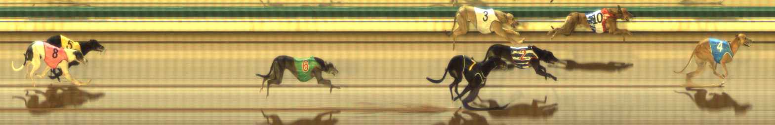 Photo finish for The Meadows Race 2