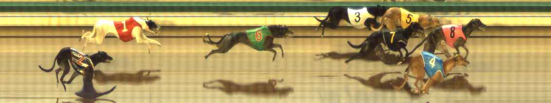 Photo finish for The Meadows Race 3