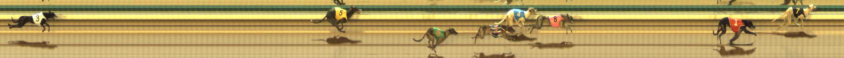 Photo finish for The Meadows Race 4