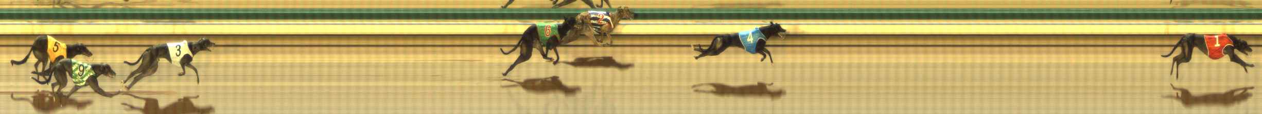 Photo finish for The Meadows Race 6