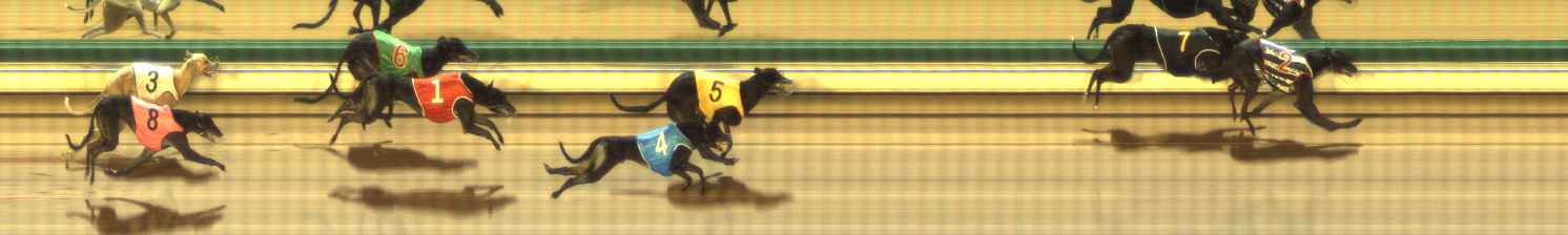 Photo finish for The Meadows Race 7
