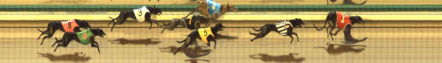Photo finish for The Meadows Race 8