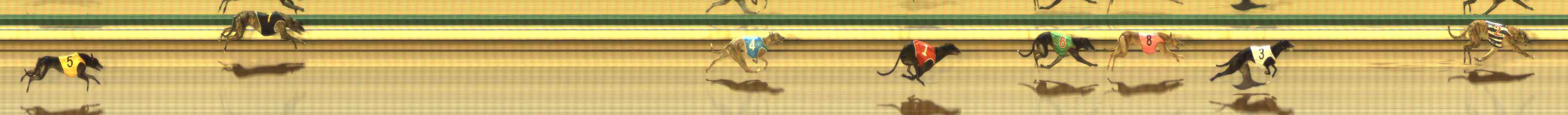 Photo finish for The Meadows Race 10