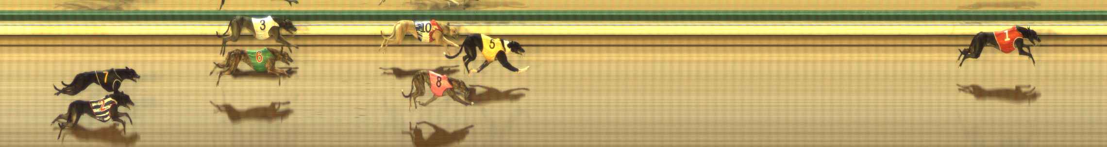 Photo finish for The Meadows Race 11