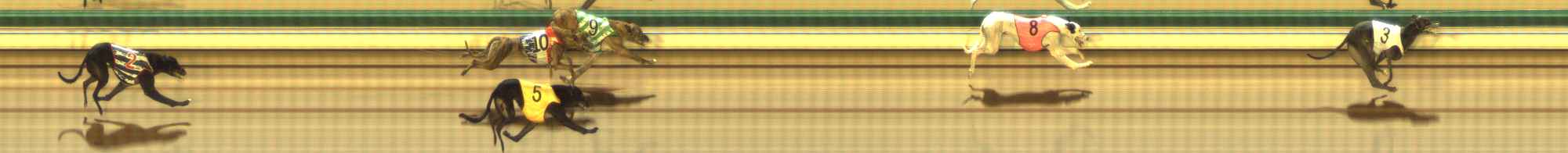 Photo finish for The Meadows Race 12