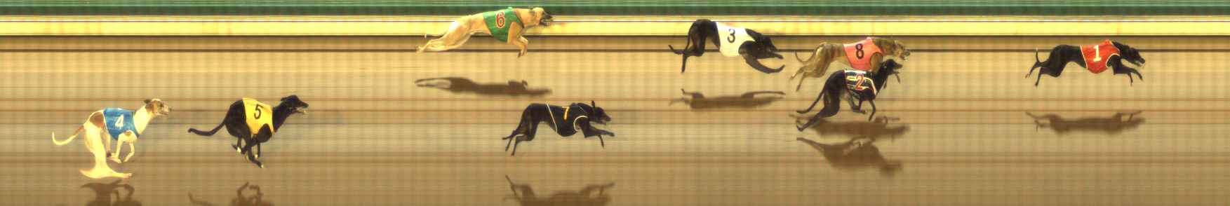 Photo finish for The Meadows Race 1