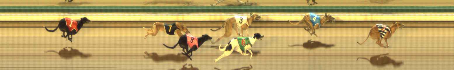 Photo finish for The Meadows Race 2