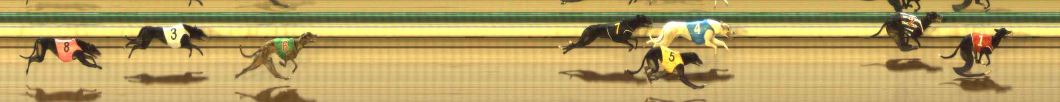Photo finish for The Meadows Race 3