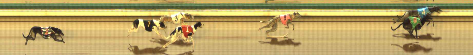 Photo finish for The Meadows Race 4