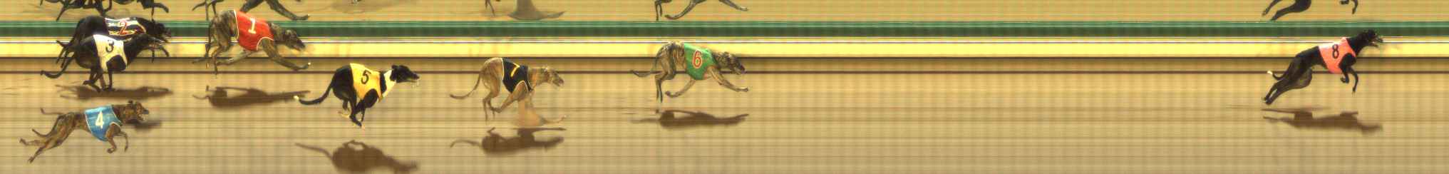 Photo finish for The Meadows Race 5