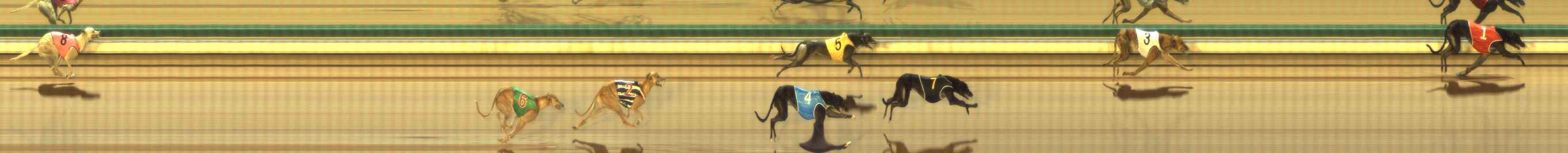 Photo finish for The Meadows Race 6