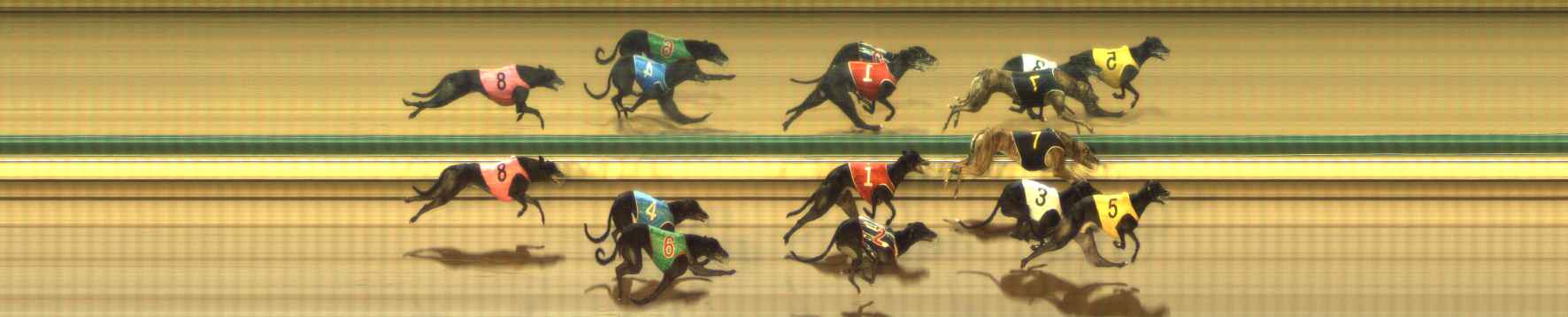 Photo finish for The Meadows Race 8