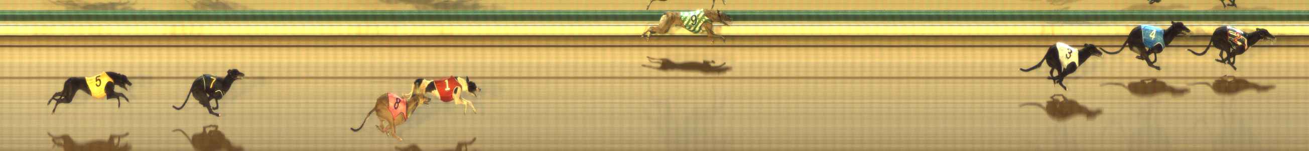 Photo finish for The Meadows Race 9