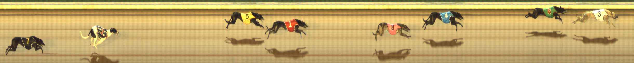 Photo finish for The Meadows Race 10