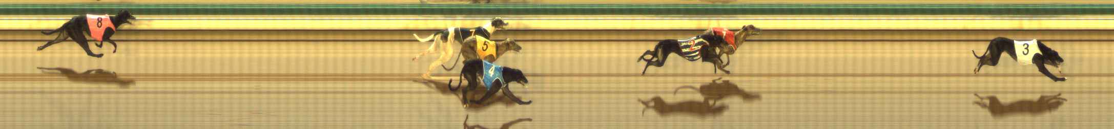 Photo finish for The Meadows Race 11