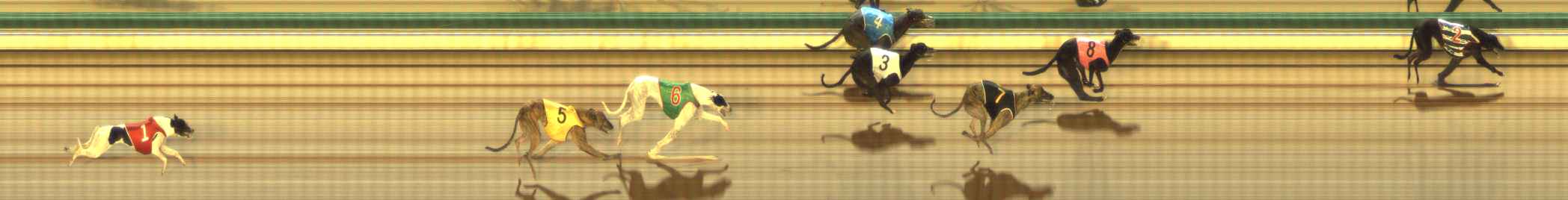 Photo finish for The Meadows Race 12