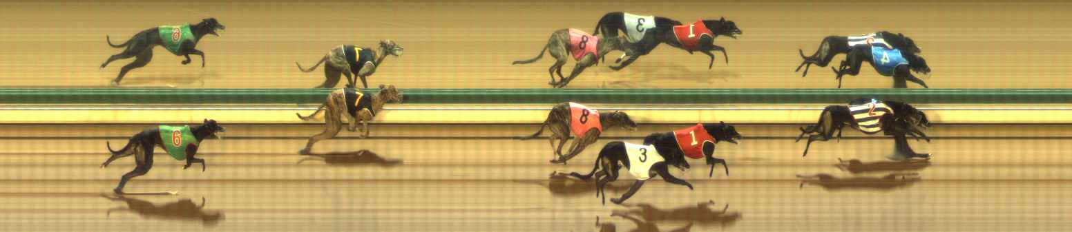 Photo finish for The Meadows Race 7
