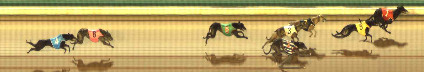 Photo finish for The Meadows Race 1