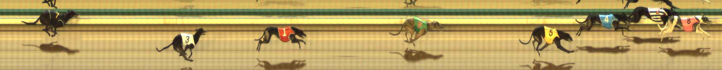 Photo finish for The Meadows Race 2