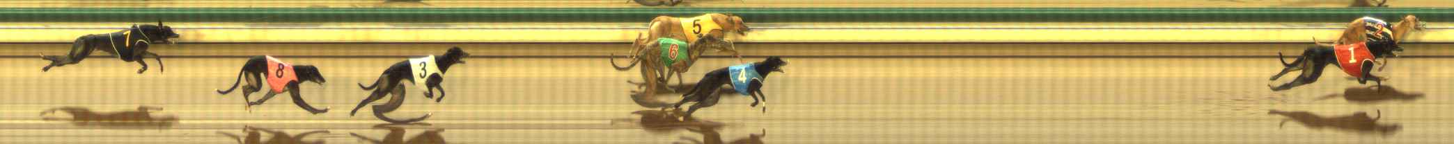 Photo finish for The Meadows Race 3