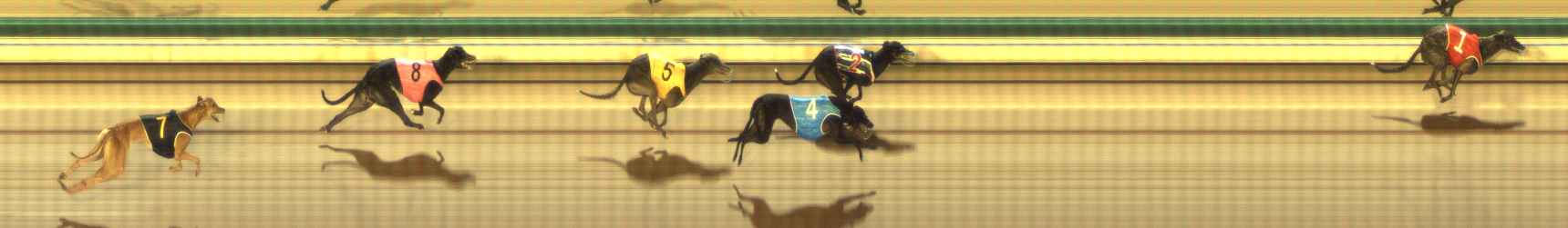 Photo finish for The Meadows Race 4