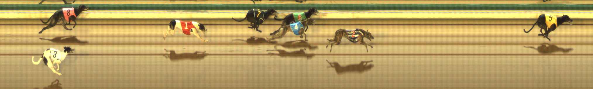 Photo finish for The Meadows Race 5