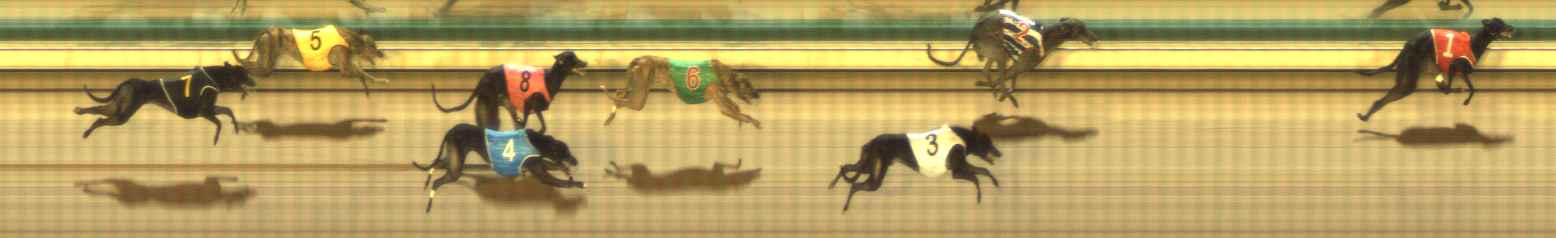 Photo finish for The Meadows Race 6