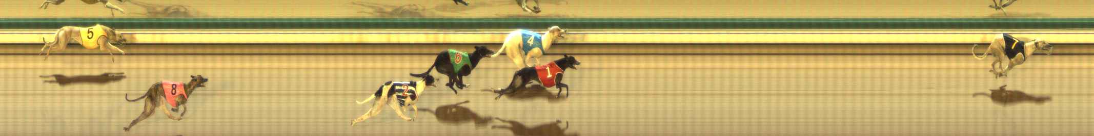Photo finish for The Meadows Race 7
