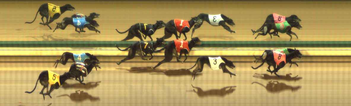 Photo finish for The Meadows Race 8