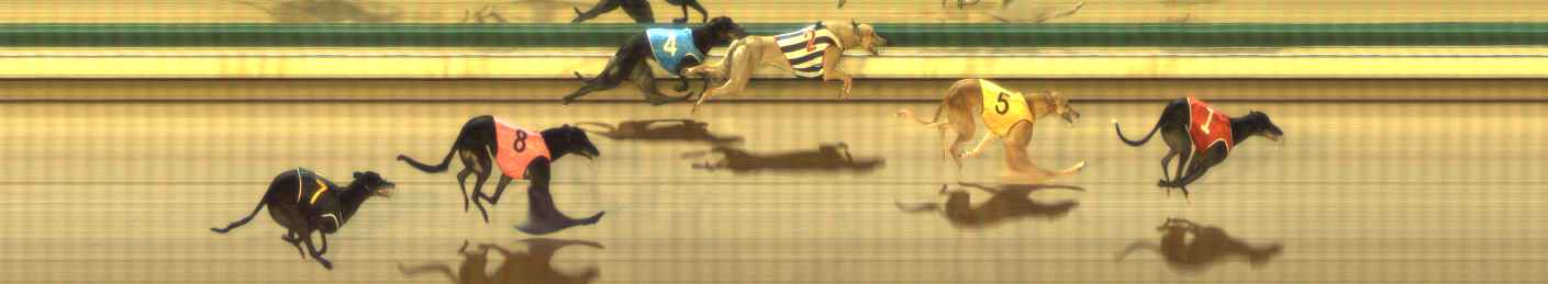 Photo finish for The Meadows Race 9