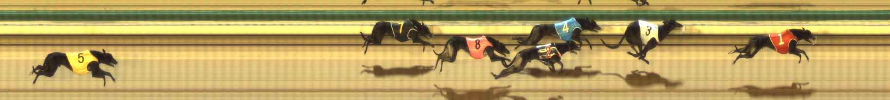 Photo finish for The Meadows Race 10