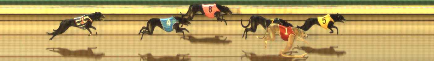 Photo finish for The Meadows Race 11