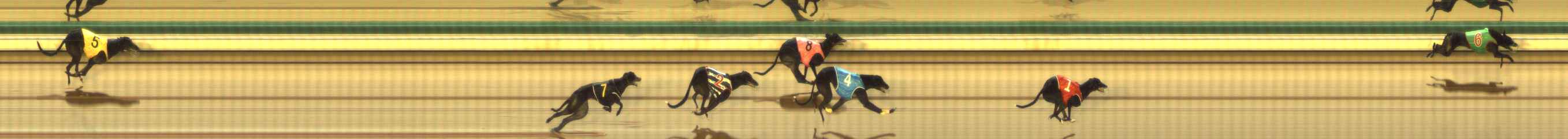 Photo finish for The Meadows Race 12