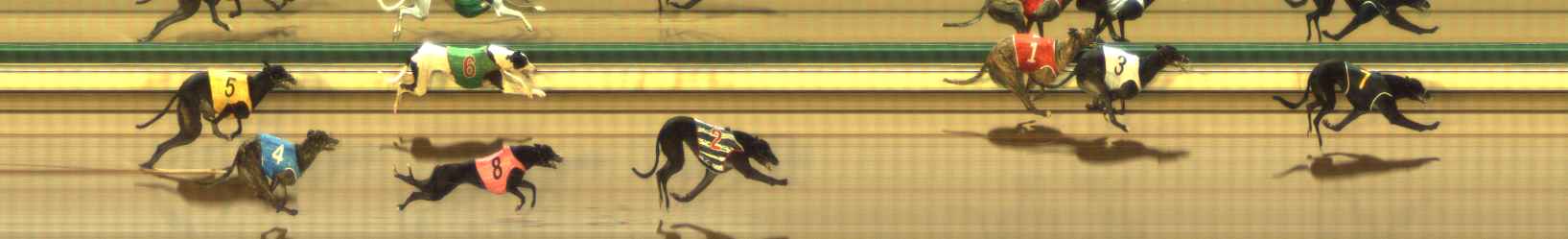 Photo finish for The Meadows Race 1