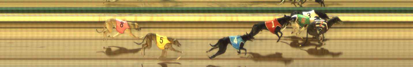 Photo finish for The Meadows Race 2