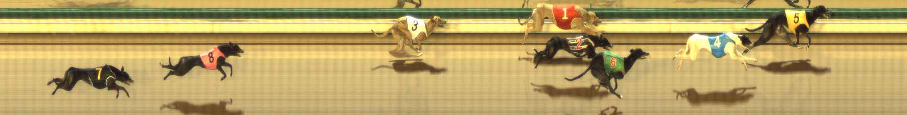 Photo finish for The Meadows Race 3