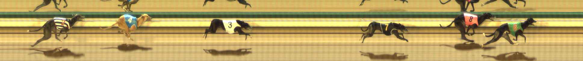 Photo finish for The Meadows Race 4