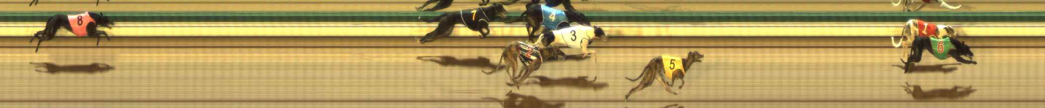 Photo finish for The Meadows Race 5