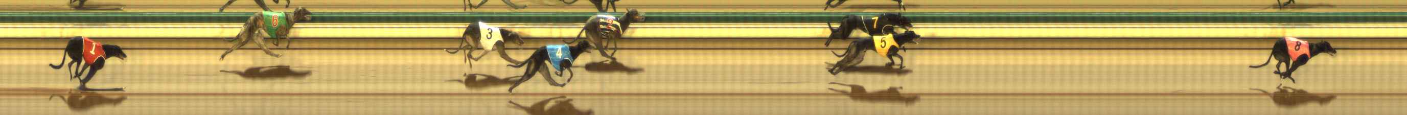 Photo finish for The Meadows Race 6