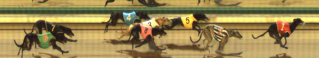 Photo finish for The Meadows Race 7