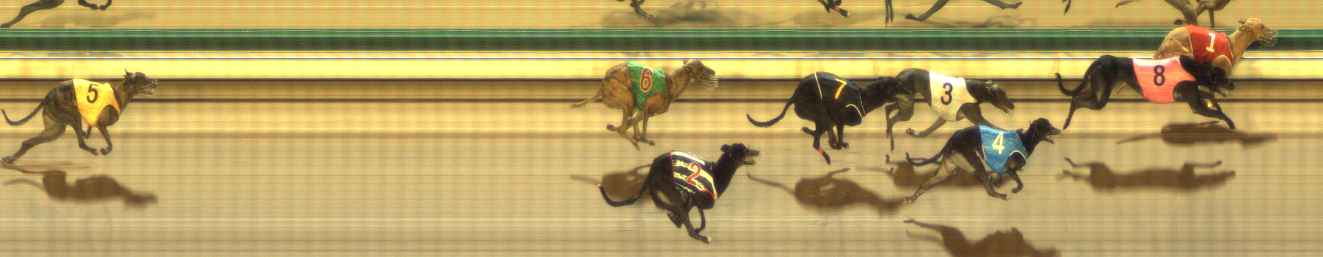 Photo finish for The Meadows Race 8